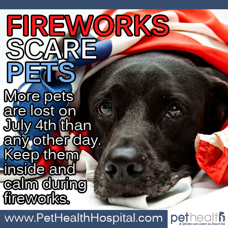 how can i help my dog who is afraid of fireworks